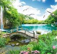 ریاضیات در طبیعت
